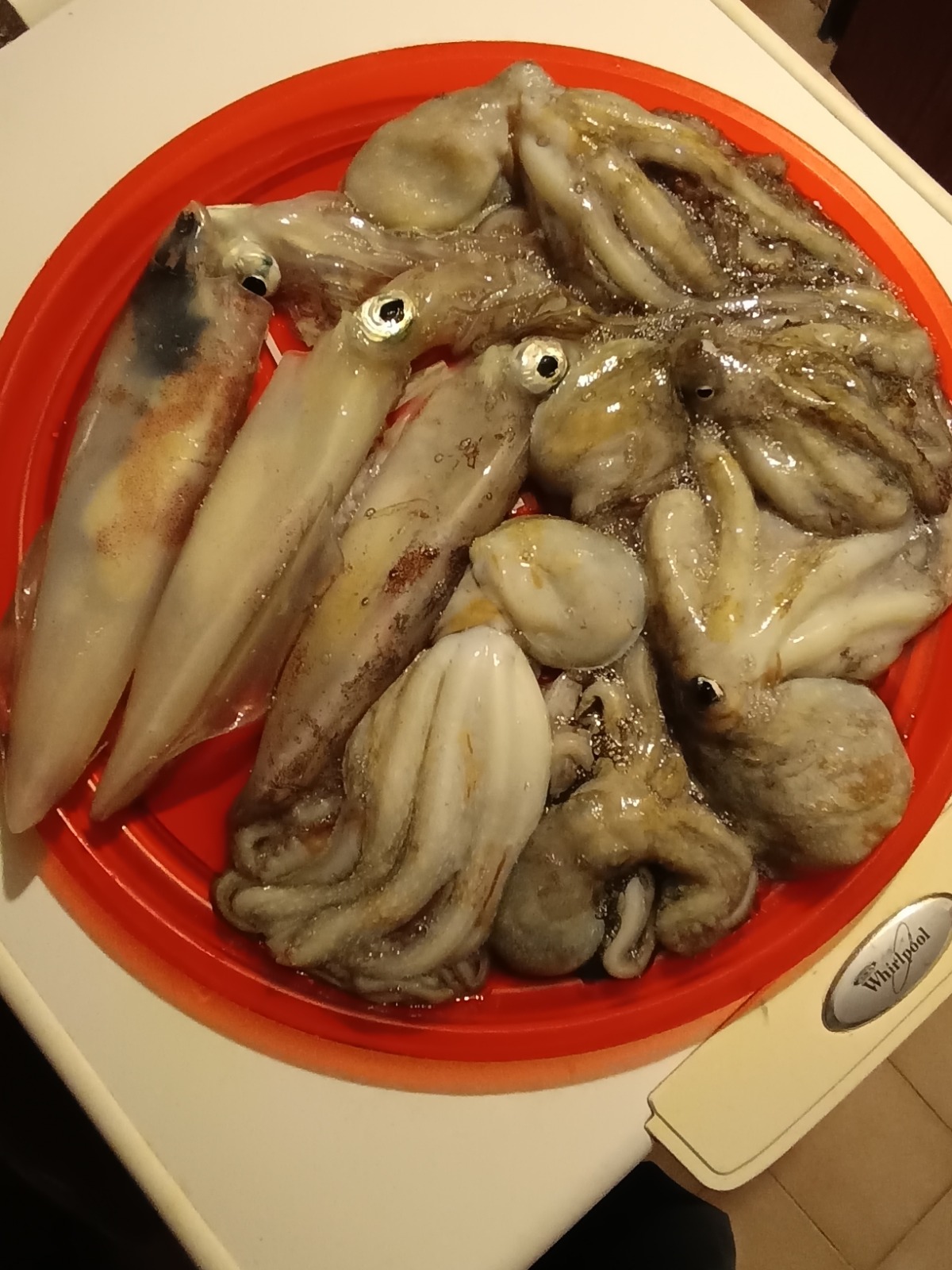 WhatsApp Image 2025-12-15 at 16.07.14