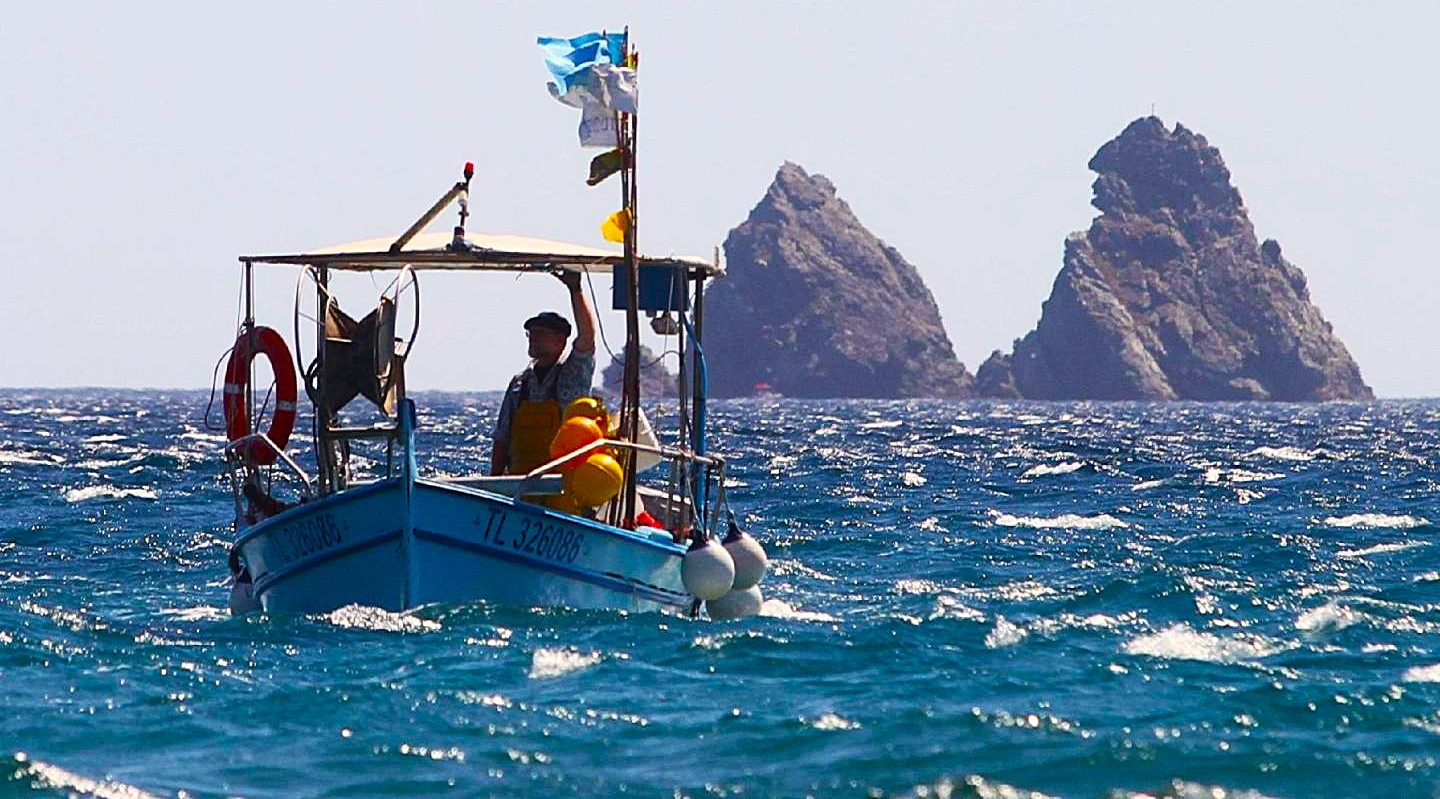 Société Nautique de Saint-Elme